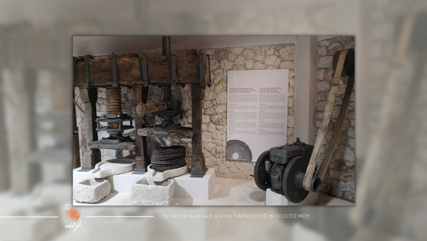  Μουσείο του Ιονίου Πανεπιστημίου: συμβολή στη δημιουργία του Μουσείου Ελαιόλαδου Enotis